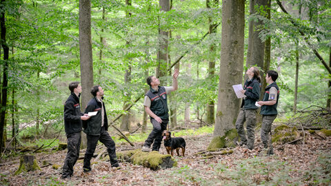 Försterinnen und Förster bei einer Waldbauschulung