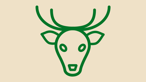 Hessenforst Jagdangebote_Icon Hirsch