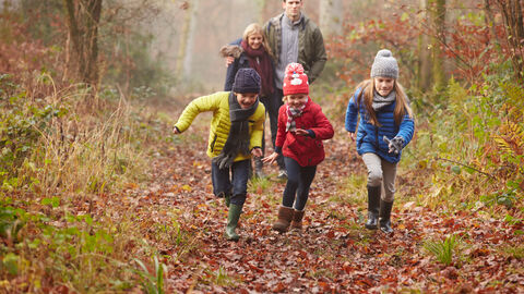 Familienausflug im Wald Familienausflug im Wald
