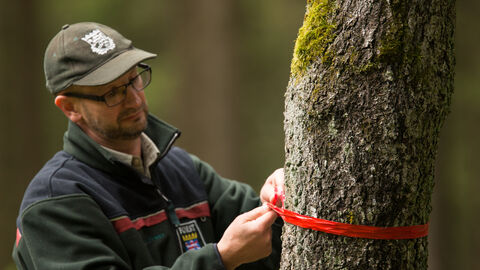 Förster beim Auszeichnen