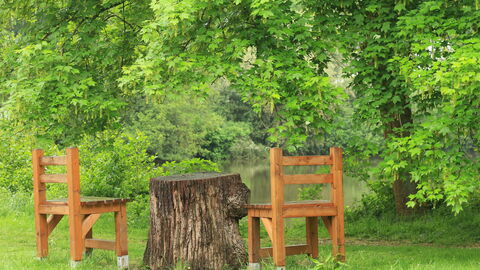 Tische und Stühle im Wildpark