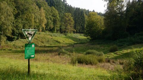 Naturschutzgebiet