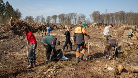Pflanzfreiwillige unterstützt und angeleitet vom Team des Forstamts Reinhardshagen. 