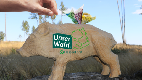Ein Sparschweinchen mit Zukunft – für Unseren Wald. 