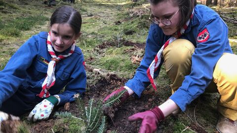 Kinder Pflanzen junge Bäume