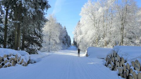 Ski-Langlauf in der Rhön