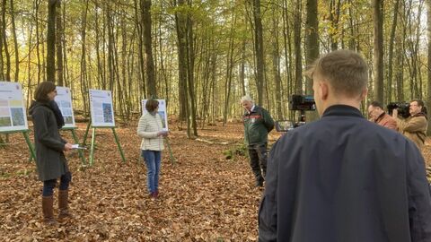 Frau Dr. Talkner (NW-FVA), Frau Ministerin Hinz und Herr Nowack (HessenForst) bei der Vorstellung des Waldzustandsberichts.