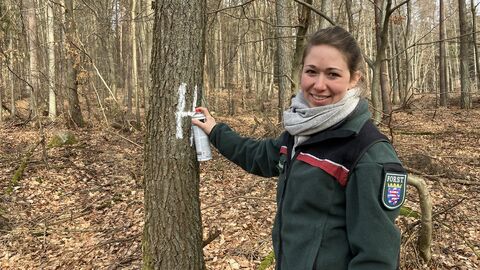 Carolin Pfaff markiert einen Habitatbaum