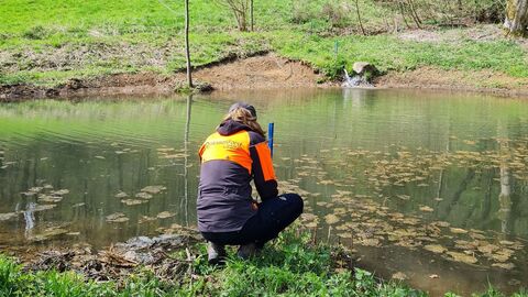Freistellung und Pflege von Biotopen im Rahmen des Arten- und Biotopschutzes