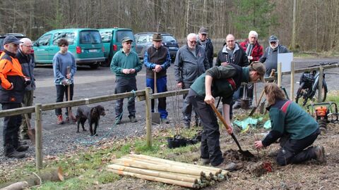 Frau Tinnefeld und Herr Stübner erläutern den teilnehmenden praktisch das Pflanzverfahren