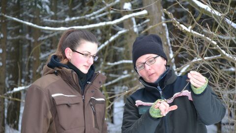 Försterin erklärt einer Schülerin, wie man Anhand der Knospen die Bäume unterscheiden kann.