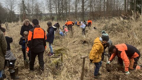 Pflanzaktion mit der Grundschule Romrod zum internationalen Tag der Wälder am 21.März 2023.