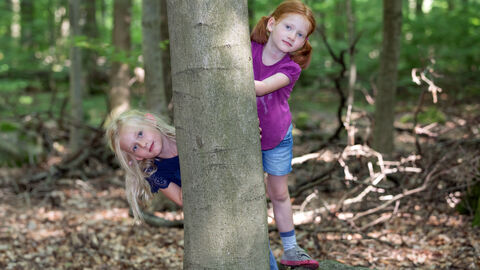Kinder im Wald Kinder im Wald