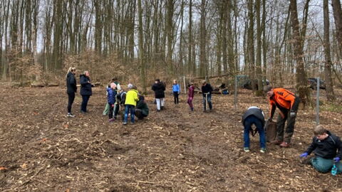 Pflanzaktion im Villmarer Gemeindewald