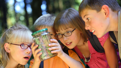 Kinder schauen ein Insekt im Glas an