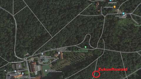 Standort Zukunftswald