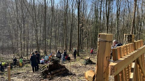 Pflanzaktion Zukunftswald Pflanzaktion Zukunftswald