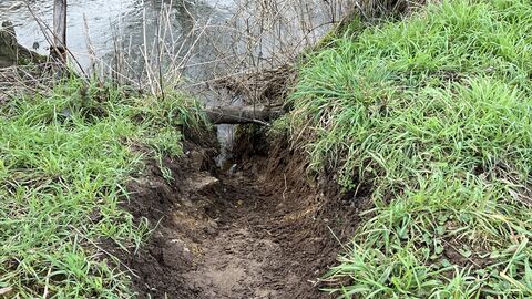 Anzeichen für Bieber