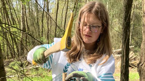 Lucie befestigt kraftvoll den Verbiss-Schutz