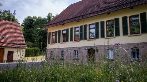 Biodiversität wird im Forstamt Hofbieber 