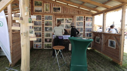 Informationen zum Biber