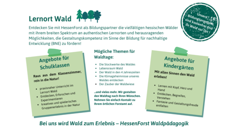 Waldpädagogik Waldpädagogik