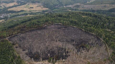 Brandfläche  Brandfläche