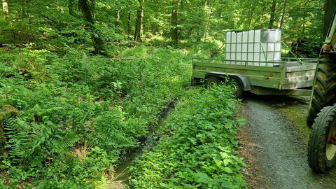 Bewässerung von Laichstellen des Grasfrosches
