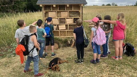 Bau eines Insektenhotels