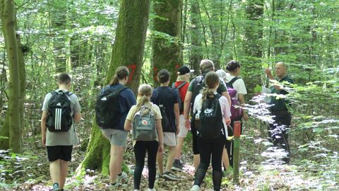 Revierleiter Heinrich Lutz bespricht mit den Kindern die vorkommenden Baumarten