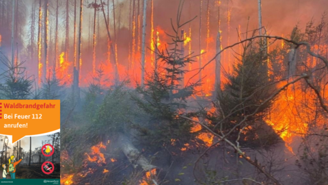 Waldbrandgefahr