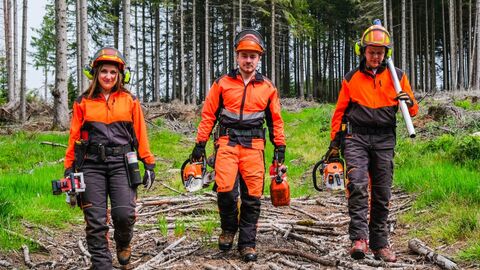 Forstwirte bei der Arbeit