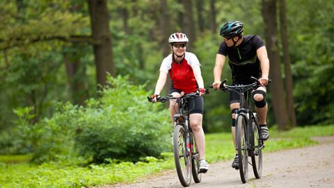Radfahren im hessischen Staatswald Mountainbiker im Wald