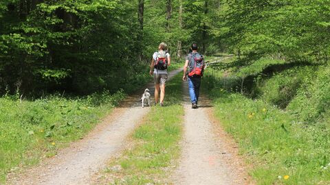 Spaziergänger im Wald