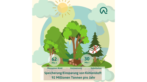 Ökosystem Wald Ökosystem Wald