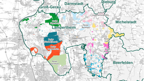 Reviergrenzen Forstamt Lampertheim Reviergrenzen Forstamt Lampertheim