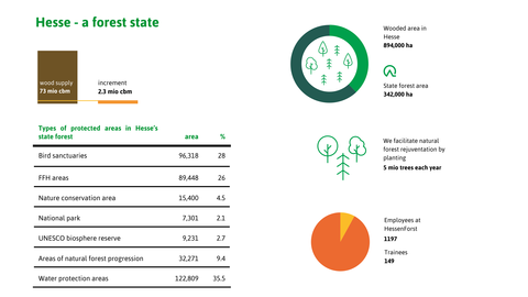 Various statistics on state forest Hesse and HessenForst