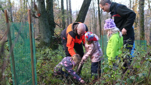 Pflanzung mit der Familie
