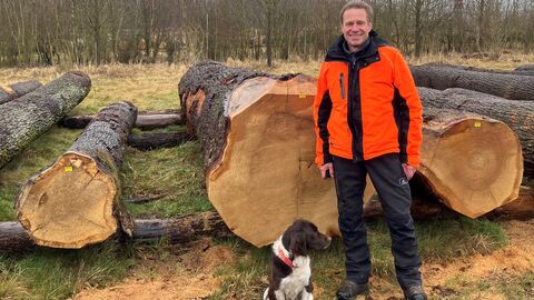 Revierleiter Christian Korff steht vor dem wertvollsten Eichenstamm