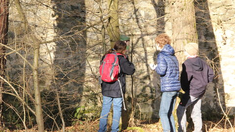 Fleißige Pfadfinder beim Nistkästenreinigen im Wildpark „Alte Fasanerie“ in Hanau