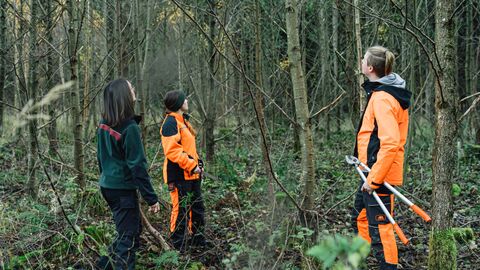 Arbeitseinsatz mit Freiwilligendienstleistenden in der Jungbestandspflege  Arbeitseinsatz mit Freiwilligendienstleistenden in der Jungbestandspflege