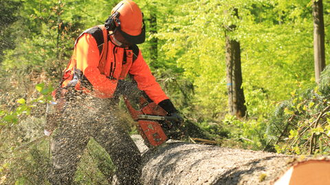 Forstwirt im Einsatz