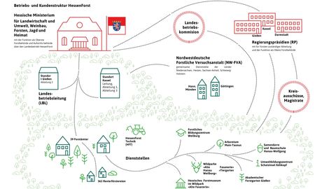 Verortung des Landesbetriebs in Landesverwaltung Hessen