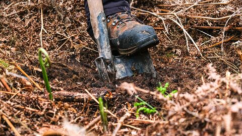 Ein kleiner Spatenstich für den Menschen, ein großer Schritt für den Wald der Zukunft