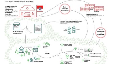 Verortung des Landesbetriebs in Landesverwaltung Hessen