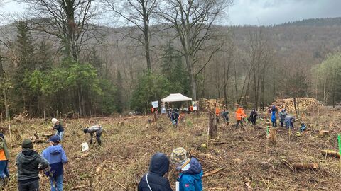 Das angekündigte Regenwetter hatte die vielen Helfer nicht abgehalten. Sie alle waren mit Begeisterung dabei. Das angekündigte Regenwetter hatte die vielen Helfer nicht abgehalten. Sie alle waren mit Begeisterung dabei.