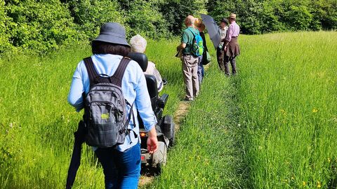 Menschen laufen entlang eines sommerlichen Waldrands