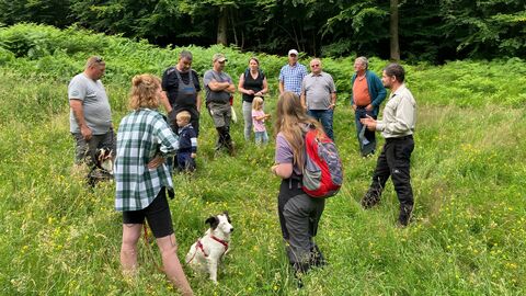 Anschauen von Naturshcutzmaßnahmen Anschauen von Naturshcutzmaßnahmen
