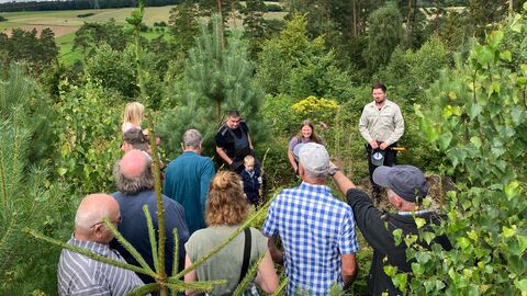 Revierleiter Björn Brandau gibt Informationen zur Wiederbewaldung Revierleiter Björn Brandau gibt Informationen zur Wiederbewaldung