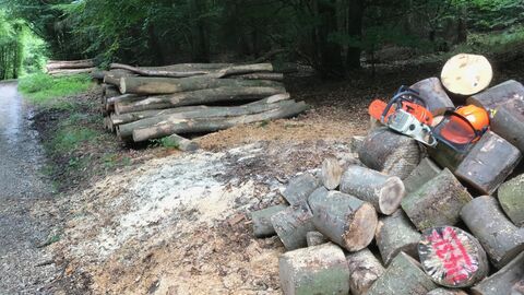 Im Hintergrund gerücktes Buchenbrennholz am Waldweg, wie es im Forstamt verkauft wird. Im Vordergrundbereits durch den Käufer auf Ofenlänge gesägtes Buchrenbrennholz.